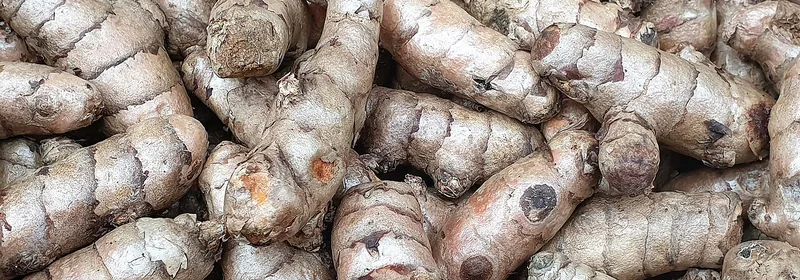 Экстракт куркумы